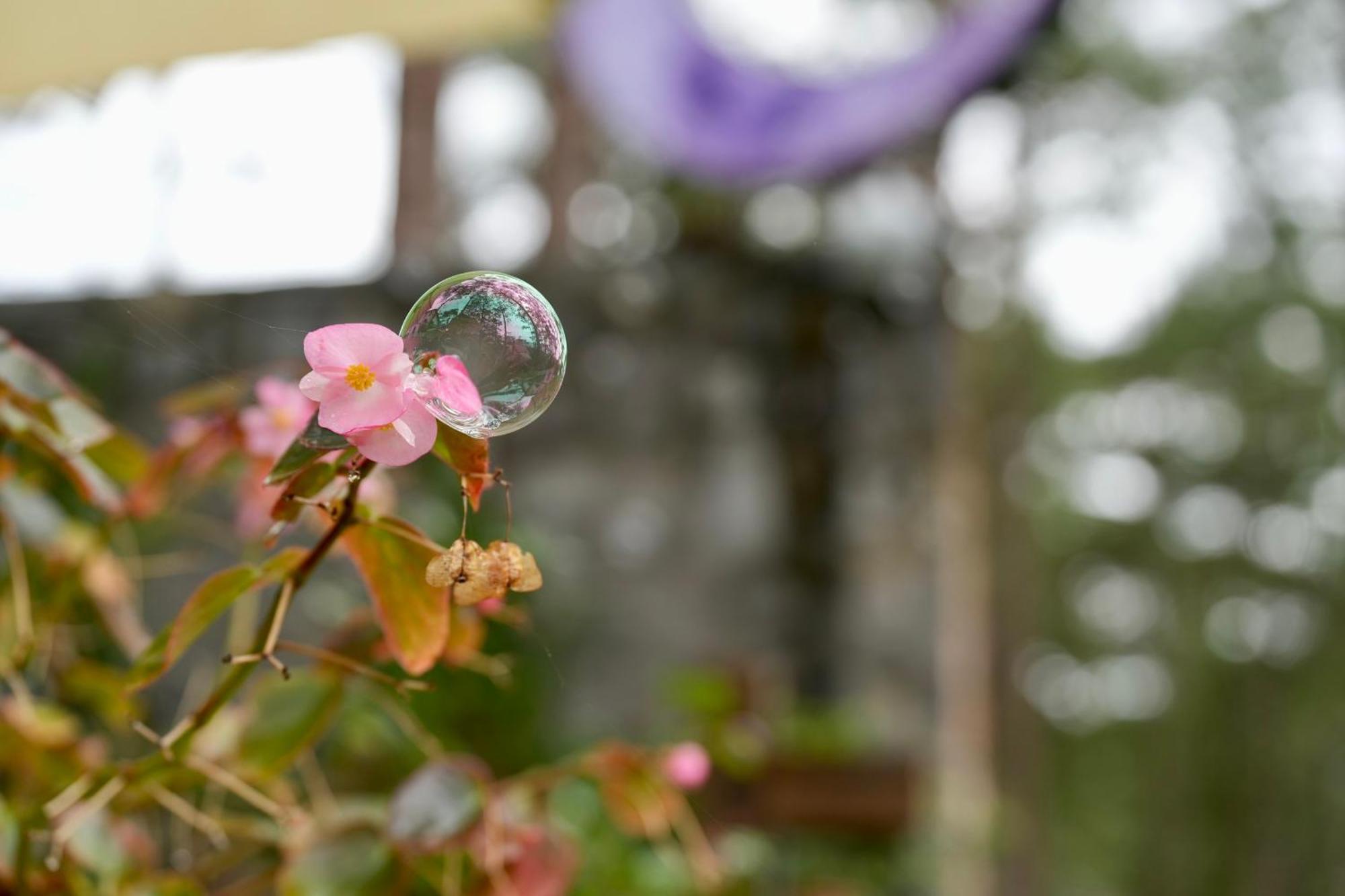 De Vivre Homestay Mang Den Kon Von Kla 외부 사진